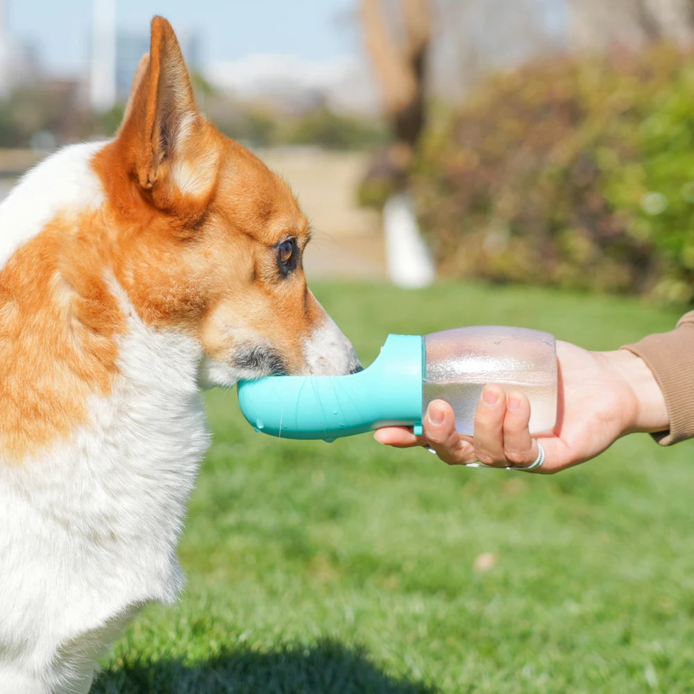 Portable Water Bottle For Dogs