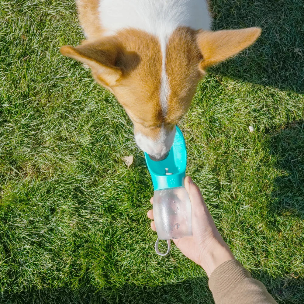 Portable Water Bottle For Dogs